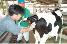 ��ü������ - ����¾ѹ����ѵ����ӹǹ���¾ѹ�����������ҵԹ��� ���͵�ͧ��â��¾ѹ������