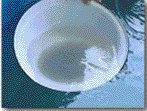 4. ������������ա�û��ʹ�������ŧ㹺�;ѡ