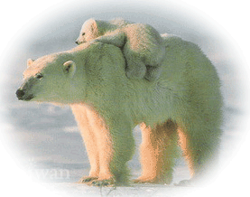 �����������Դ�١������ʹ�ç��Ҿѹ���ͧ��