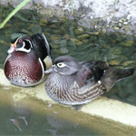 ���紹�ӵ�Ǽ������ʴ�� ��ǹ������¨������ѹ���ٴ�Ҵ