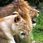 �ԧ⵵�Ǽ�����ἧ�͵�����������  ��е�������բ�Ҵ��硡��ҵ�Ǽ��