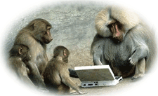 ����ǹ���ԧ�Ѳ������..... 