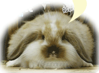 ��ѹ�ͺ�Ӷ��˹��¹��Ѻ...